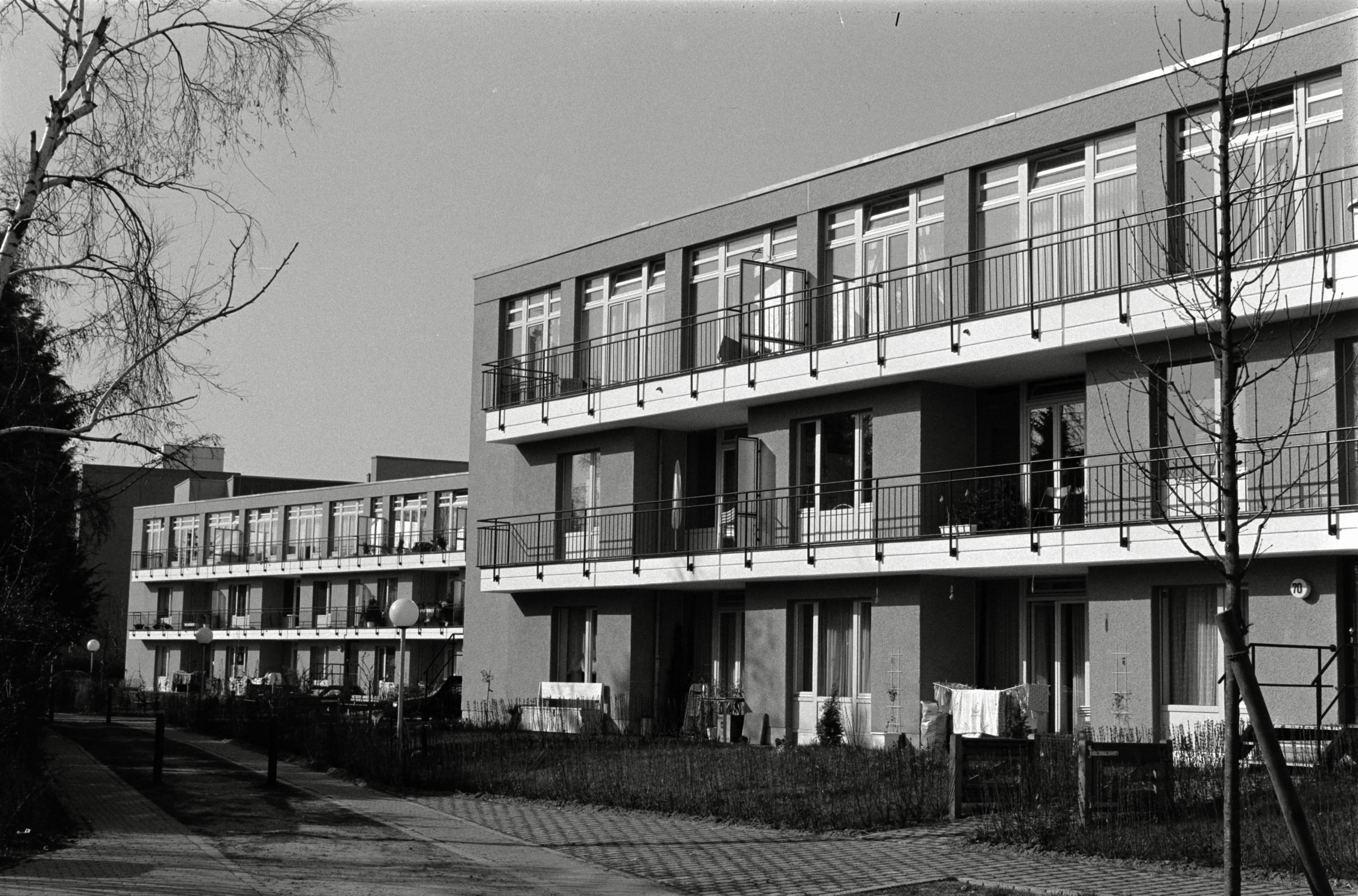 AHP F1993 03 006 sc240902 img34 NLP